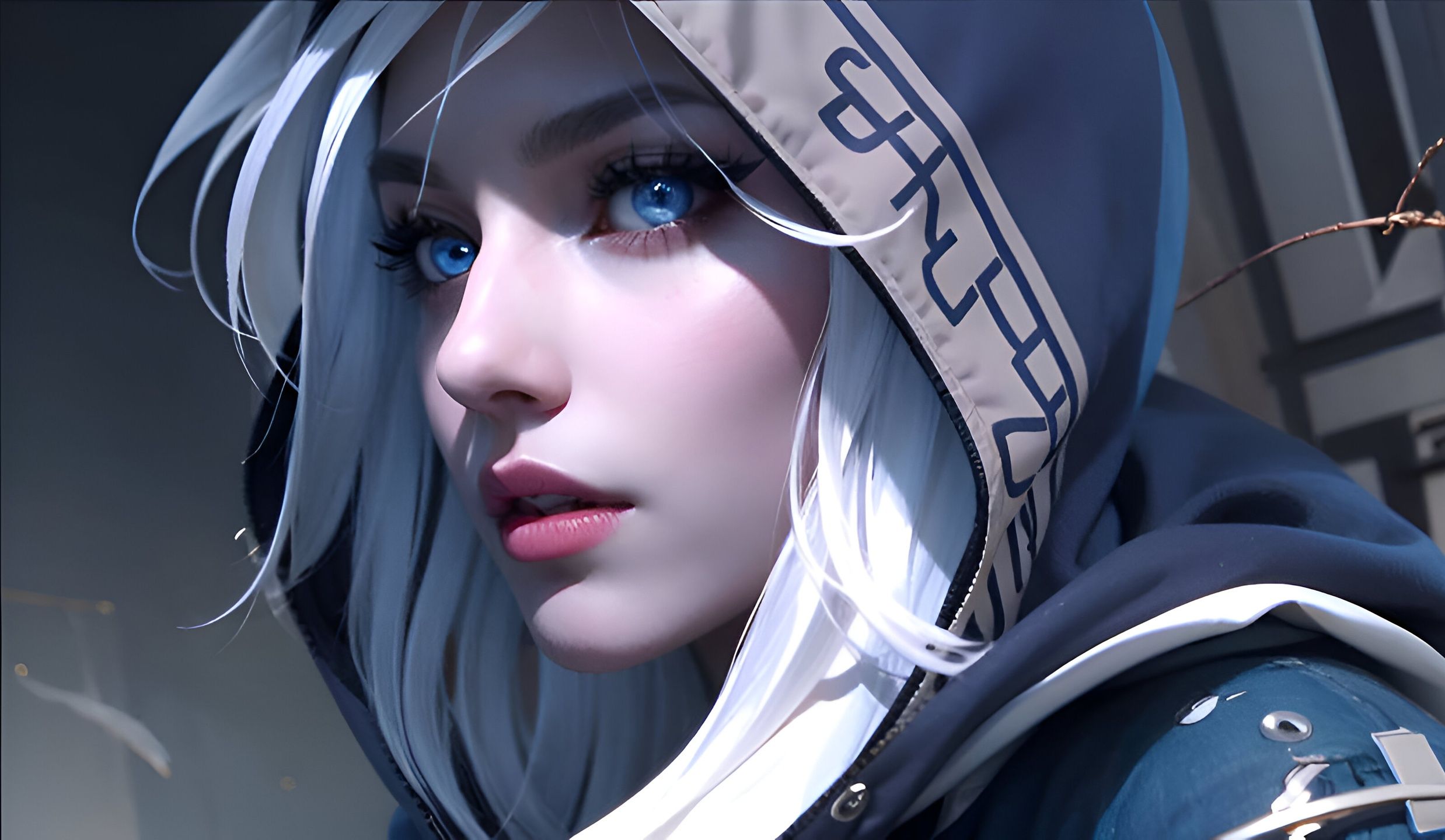 家队的明星 家队的明星